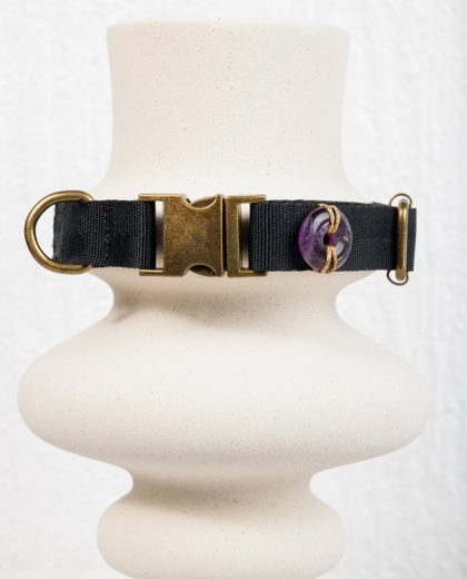 κολάρο σκύλου με αμέθυστο για τη λαιμαργία