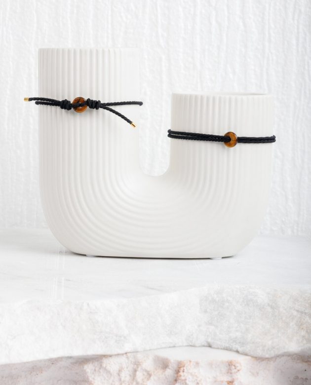 σετ κηδεμόνα - κατοικιδίου με το μάτι της τίγρης που καταπολεμά την ανασφάλεια